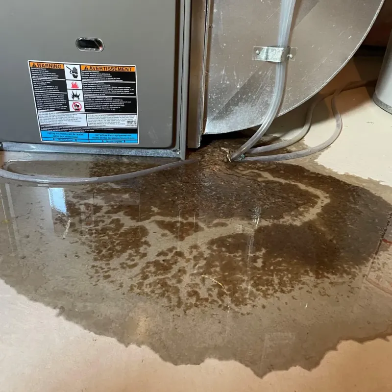 Appliance Leak Cleanup in Camarillo, CA